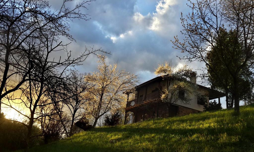 Golden Horn Guest House Iskrets エクステリア 写真